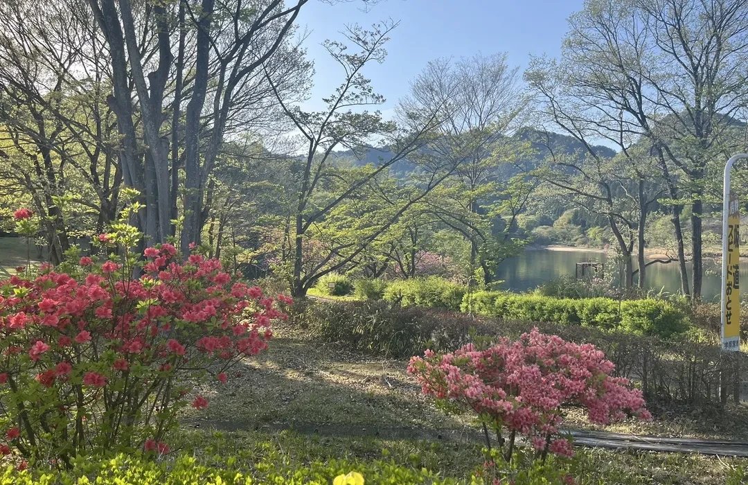 ⛰️ 안장걸이 산 (쿠라카케야마) 이미지 7